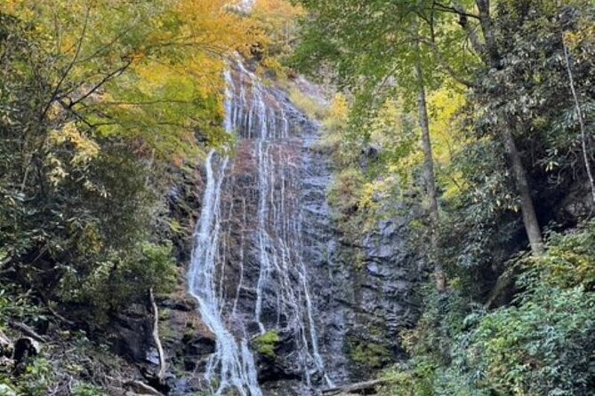 3 - 3.5 HR Smoky Mtn. Cherokee Eco Elk Safari Jeep Adventure - Who Should Book This Tour?