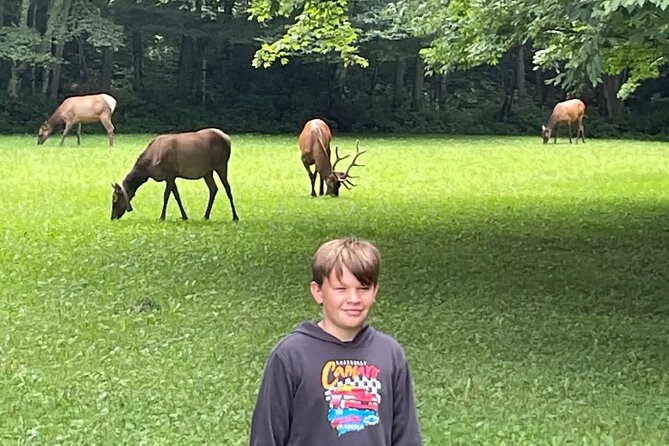 3 - 3.5 HR Smoky Mtn. Cherokee Eco Elk Safari Jeep Adventure - Who Will Love This Tour?