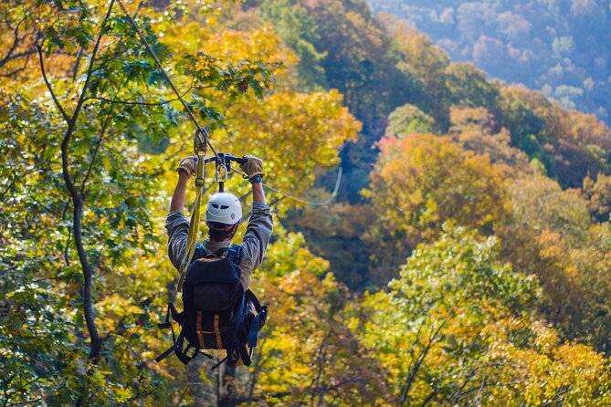 Epic Zipline Canopy Tour - The Gorge Zipline: Saluda, NC - An In-Depth Look at the Green River Gorge Zipline Experience