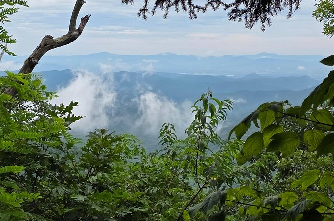 Off-Road Backroads Tour - Who Should Consider This Tour?