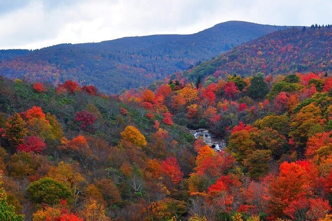 Rainforests and Waterfalls of Western NC - Final Thoughts