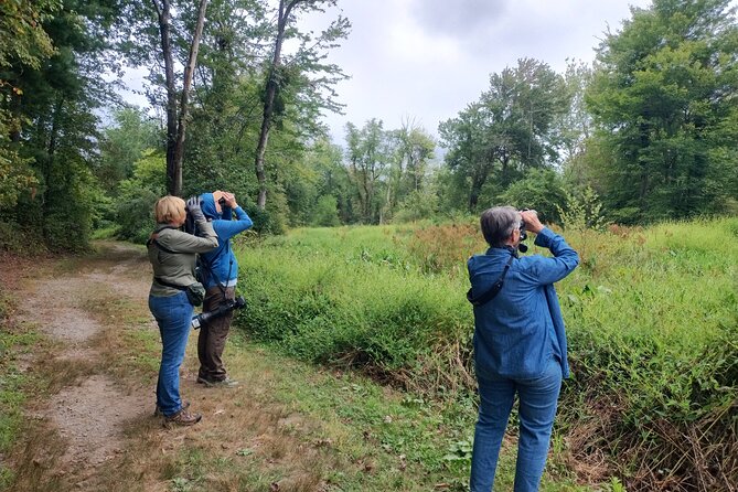 Private Birdwatching Walking Activity in Hendersonville - Who Will Appreciate This Experience?