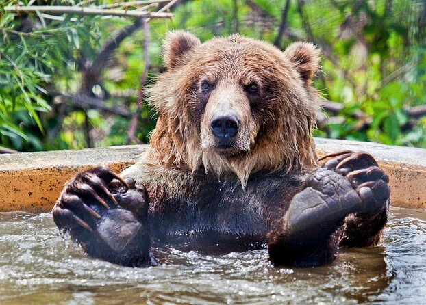 Smartphone Audio Driving Tour between Kamloops & Revelstoke - Discovering the Kamloops to Revelstoke Scenic Drive with a Smartphone Audio Tour