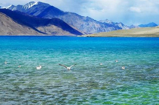 Overnight Pangong Tour From Leh With Thikse & Hemis Monasteries. - FAQs