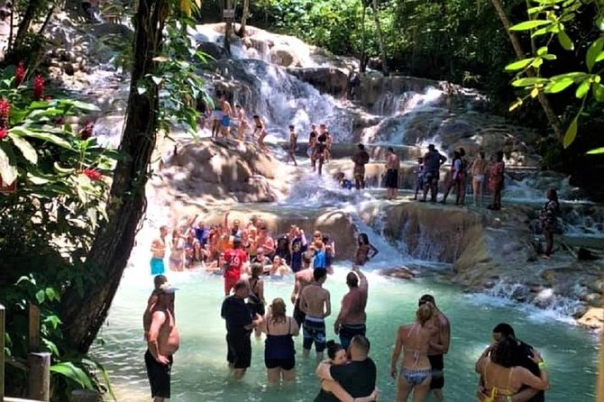Dunn's River Falls and Fern Gully Highlight Adventure Tour from Kingston - Key Points