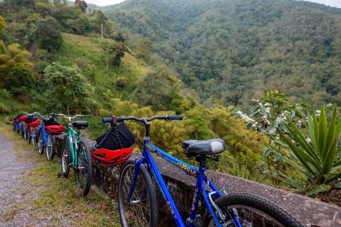 Exotic Full-Day Blue Mountain Bicycle Adventure - Final Summary: Who Should Consider This Tour?