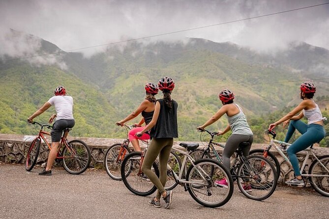 Exotic Full-Day Blue Mountain Bicycle Adventure - Key Points