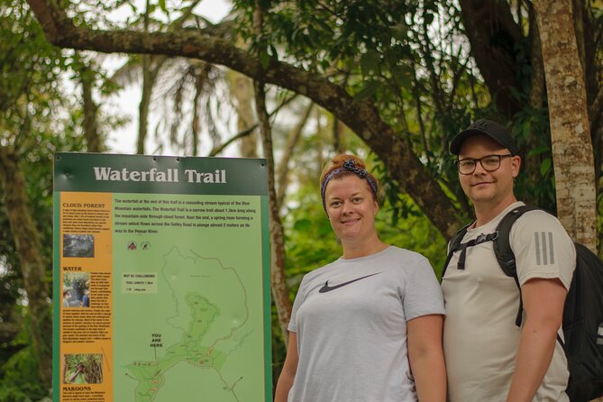 Kingston Airport to Ocho Rios Hotels and St Anns One Way - Who Should Consider This Transfer?