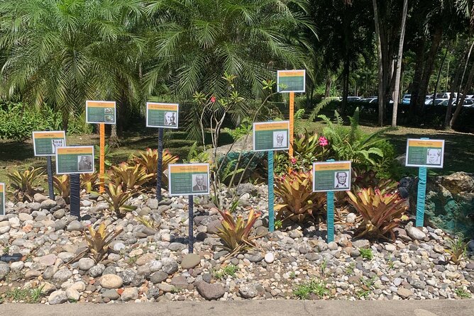 Dunn's River Falls, Zipline Adventure from Kingston - Exploring Dunn’s River Falls and Park: Nature’s Grand Staircase