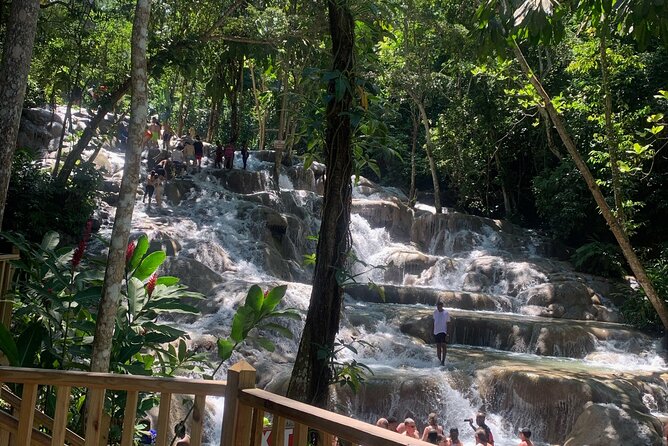 Dunn's River Falls, Zipline Adventure from Kingston - Final Thoughts: Who Will Love This Tour?