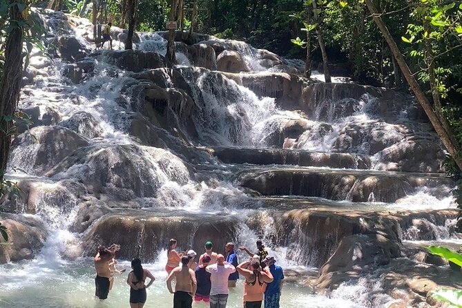 Dunn's River Falls, Zipline Adventure from Kingston - Key Points