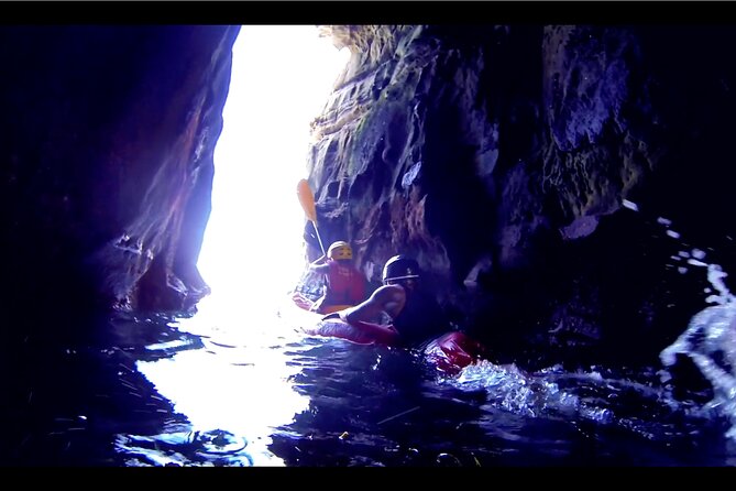 La Jolla Kayak and Snorkel Tour - Key Points