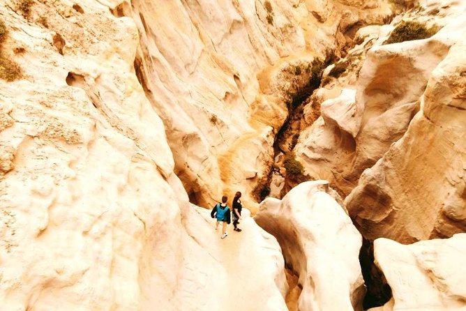 Incredible Slot Canyons to the Pacific - Explore the Spectacular Slot Canyons of Torrey Pines with a Guided Tour