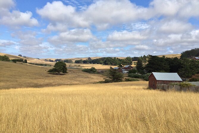 Cow Heaven: A Self-Guided Driving Tour from Point Reyes Seashore to Tomales - Frequently Asked Questions