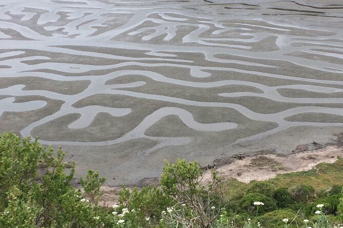 Cow Heaven: A Self-Guided Driving Tour from Point Reyes Seashore to Tomales - Who Will Enjoy This Tour?