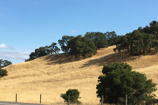 Cow Heaven: A Self-Guided Driving Tour from Point Reyes Seashore to Tomales - The Sum Up