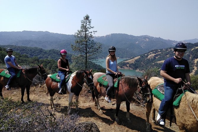 Sonoma Horseback-Riding Tour - An In-Depth Look at the Sonoma Horseback-Riding Tour