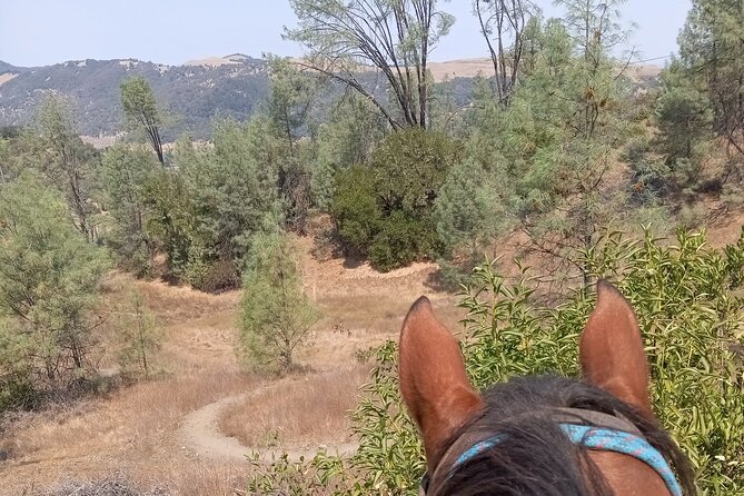 Sonoma Horseback-Riding Tour - Key Points