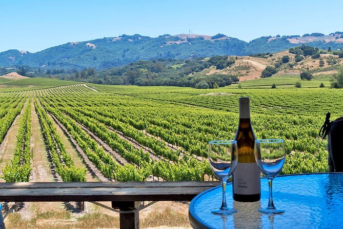 Private Sonoma Valley Wine Country Charter Transportation - Exploring the Sonoma Valley in Style