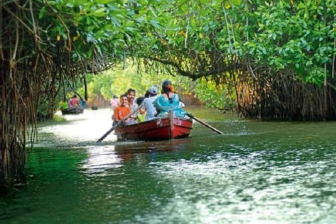 Pichavaram Mangrove & Nataraja Temple Chidambaram from Pondicherry with lunch - Exploring the Pichavaram Mangrove Forest