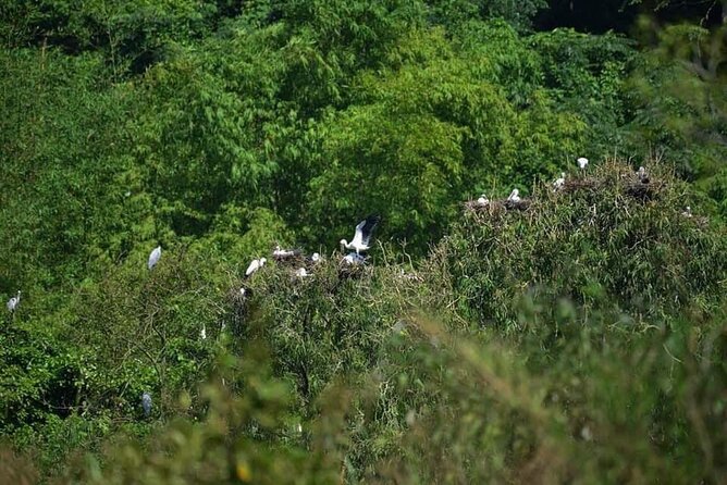 Full-Day Cuc Phuong National Park Hiking Tour - Key Points