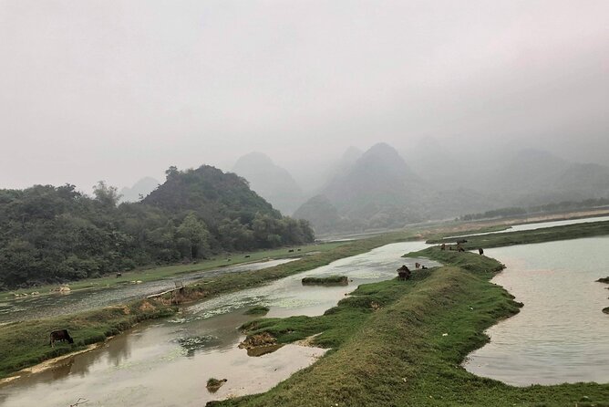 Full-Day Cuc Phuong National Park Hiking Tour - Final Thoughts