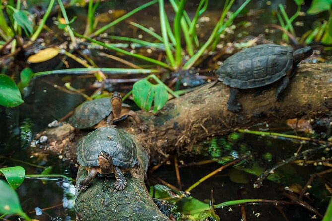 Explore Cuc Phuong National Park: A Guided Trekking Adventure - Transportation and Group Dynamics