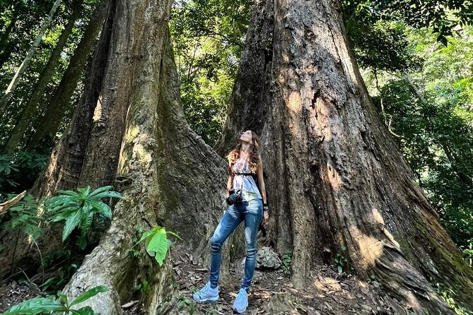 Explore Cuc Phuong National Park: A Guided Trekking Adventure - FAQ