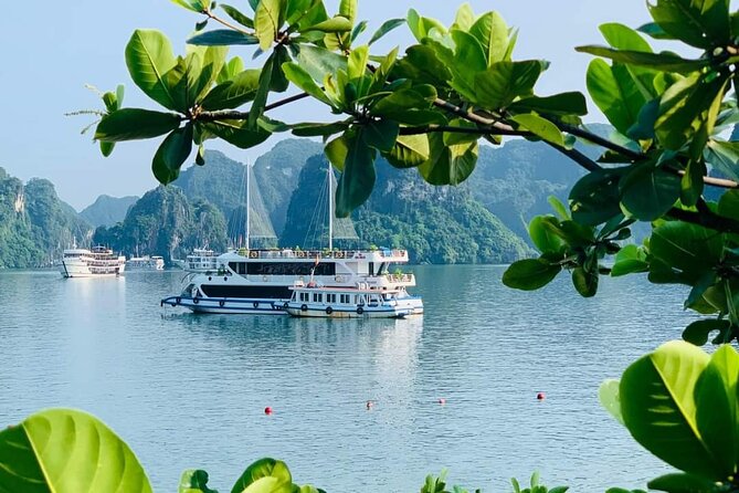 LUXURY DAY CRUISES with 07 Hours Visit Halong Bay & Buffet Lunch - Key Points
