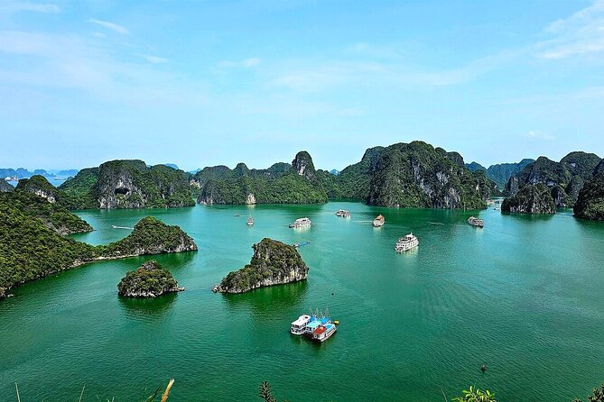 Ha Long Deluxe Day Cruise with Set Menu Lunch, Kayaking & Party - Good To Know