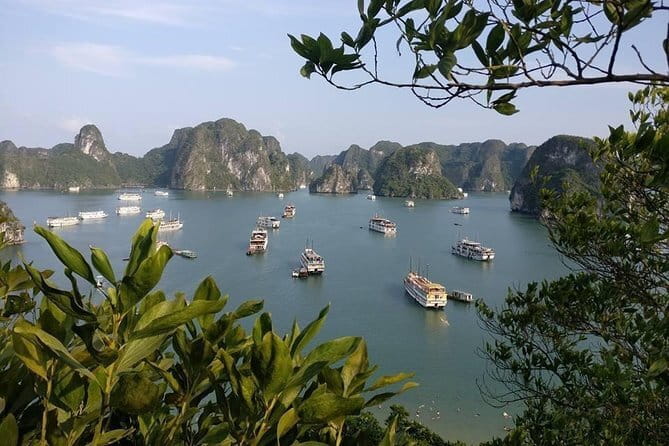 Halong Bay One Day Tour Included Bus - The Journey Begins: From Hanoi to Halong Bay