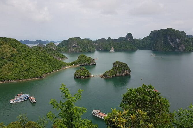 Halong Bay One Day Tour Included Bus - Authentic Insights from Reviewers
