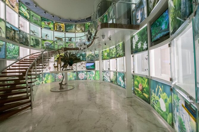 Half-day Vibrant Ha Long Heritage Tour - Key Points