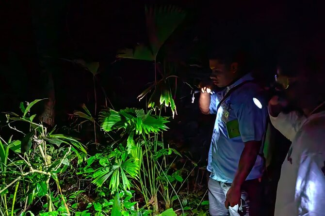 Nocturnal tour in Manzanillo Refuge - Nocturnal Tour in Manzanillo Refuge: An Authentic Jungle Night Experience