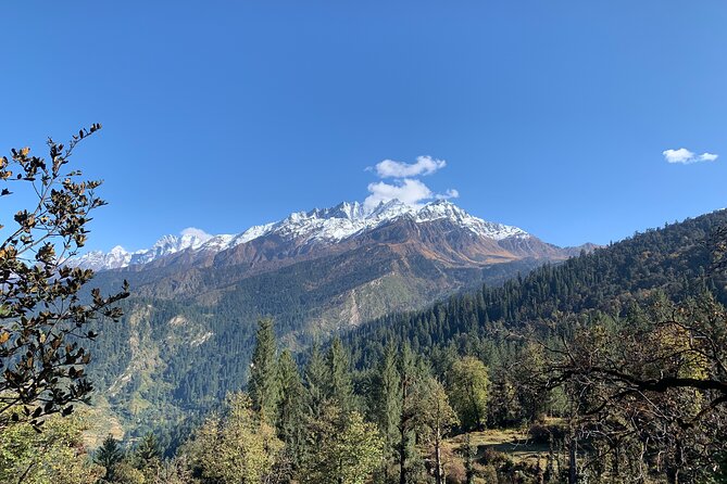 Kuari Pass Trek - Day 3: Up to Khullara Campsite