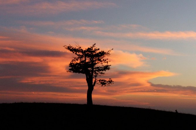 Santa Rosa National Park & Liberia City Tour Incl. Lunch - Exploring Costa Ricas Dry Forest and Liberia in One Day