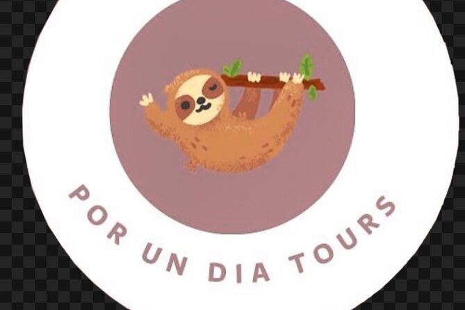 Private Transportation Guanacaste Liberia Airport - Final Thoughts: Is This the Right Choice for You?