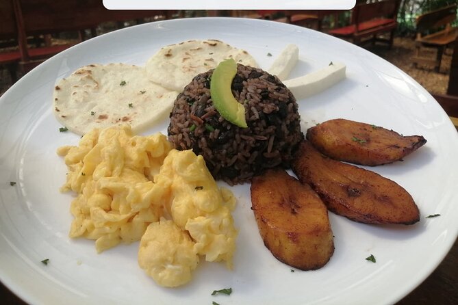 Arenal Volcano and Hot Springs Day Trip from Guanacaste - Detailed Itinerary Breakdown