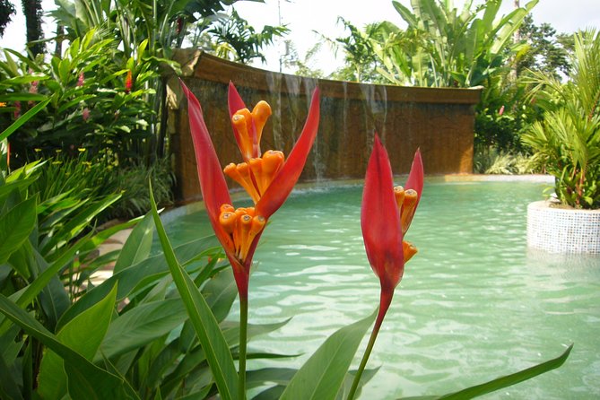 Dino Park & Blue River Adventure Rincon De La Vieja From Liberia - Hiking and Wildlife Observation