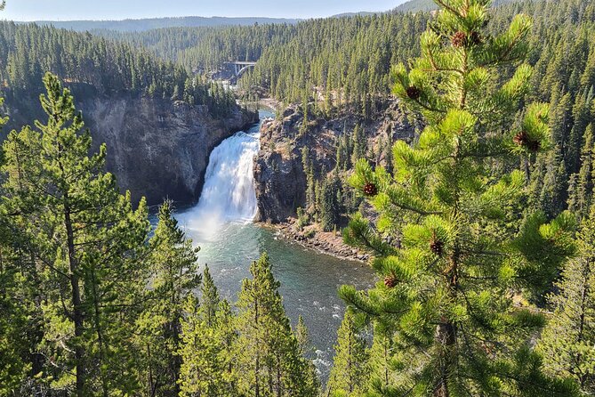 5-day In-Depth Yellowstone and Grand Teton National Park Tour - Final Thoughts