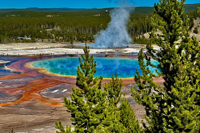 The Grand Yellowstone 3 day private experience from Cody Wyoming - Key Points