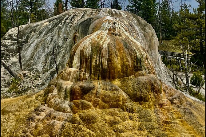 The Grand Yellowstone 3 day private experience from Cody Wyoming - What the Tour Means for You