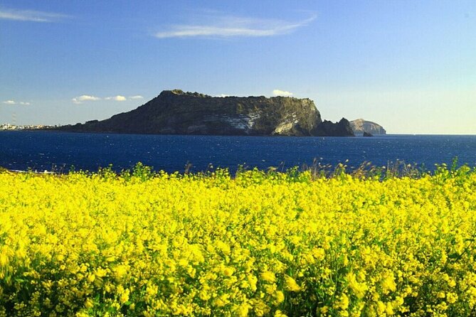 Full-Day Visiting Jeju Island Private Tour with Lunch in jeju - What the Tour Includes and What to Expect