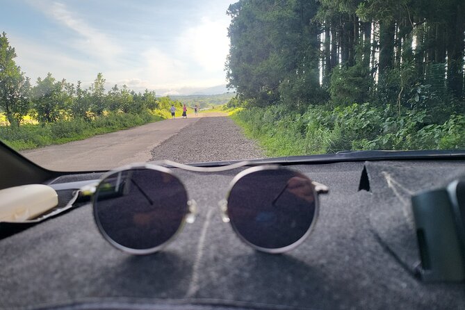 Full-Day Visiting Jeju Island Private Tour with Lunch in jeju - Who Will Love This Tour?