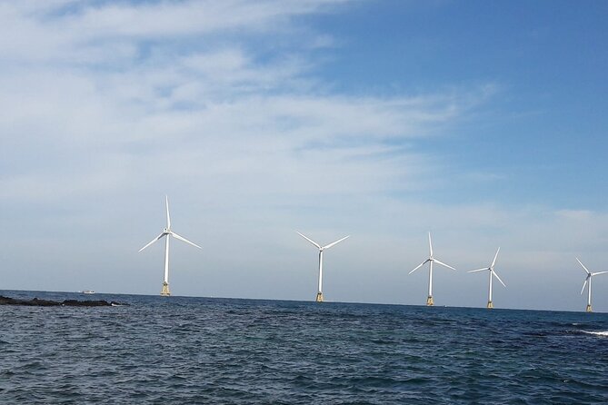 jeju Private Day Taxi tour - West of Jeju Island - What About Cost and Value?