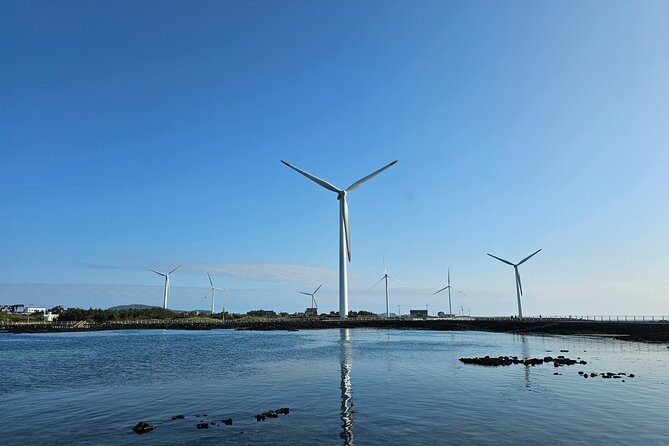 Full-Day Private South and West of Jeju Island Taxi Tour - Practical Aspects and Traveler Tips