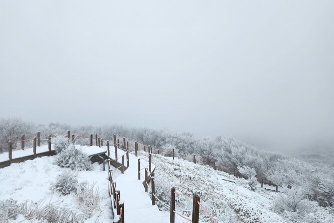 Jeju island Southern UNESCO Day Tour With Hallasan MT - Additional Insights from Reviews