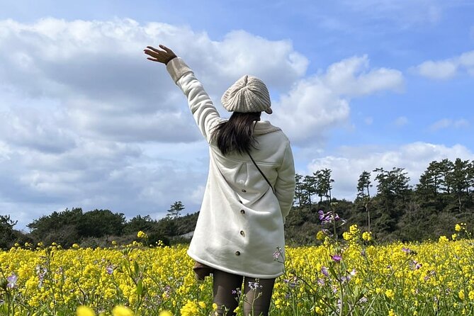 Jeju island Southern Unesco Mt.halla ONE day Bus Tour - Transport and Comfort