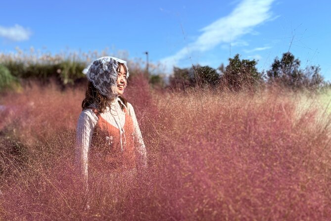 Small Group Tour for Jeju Fall Pink Muhly, Tangerines & Mt. Halla - What Makes This Tour Stand Out?