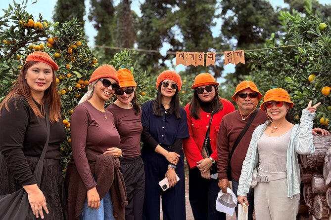 Small Group Tour for Jeju Fall Pink Muhly, Tangerines & Mt. Halla - An Authentic Jeju Experience Packed Into One Day